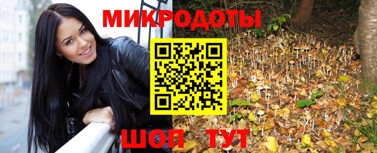 Псилоцибиновые грибы мицелий Ессентуки