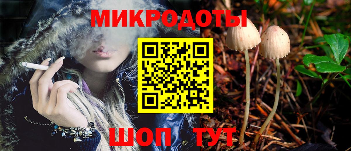 Ессентуки  Псилоцибиновые грибы прущие грибы  Вход с VPN 
